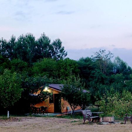 La Livada Villa Valea Danului Luaran gambar