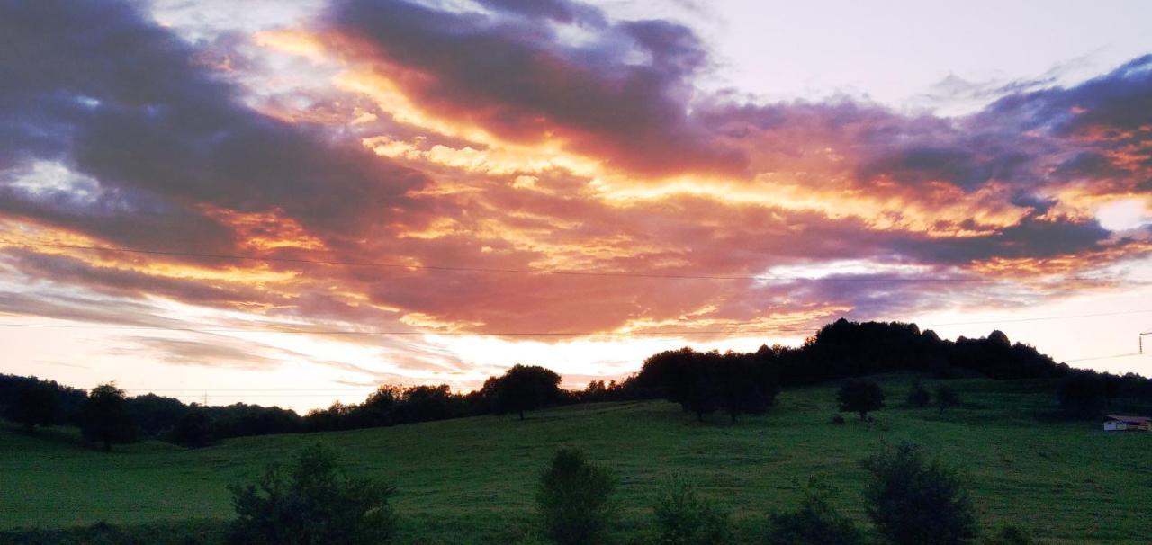 La Livada Villa Valea Danului Luaran gambar