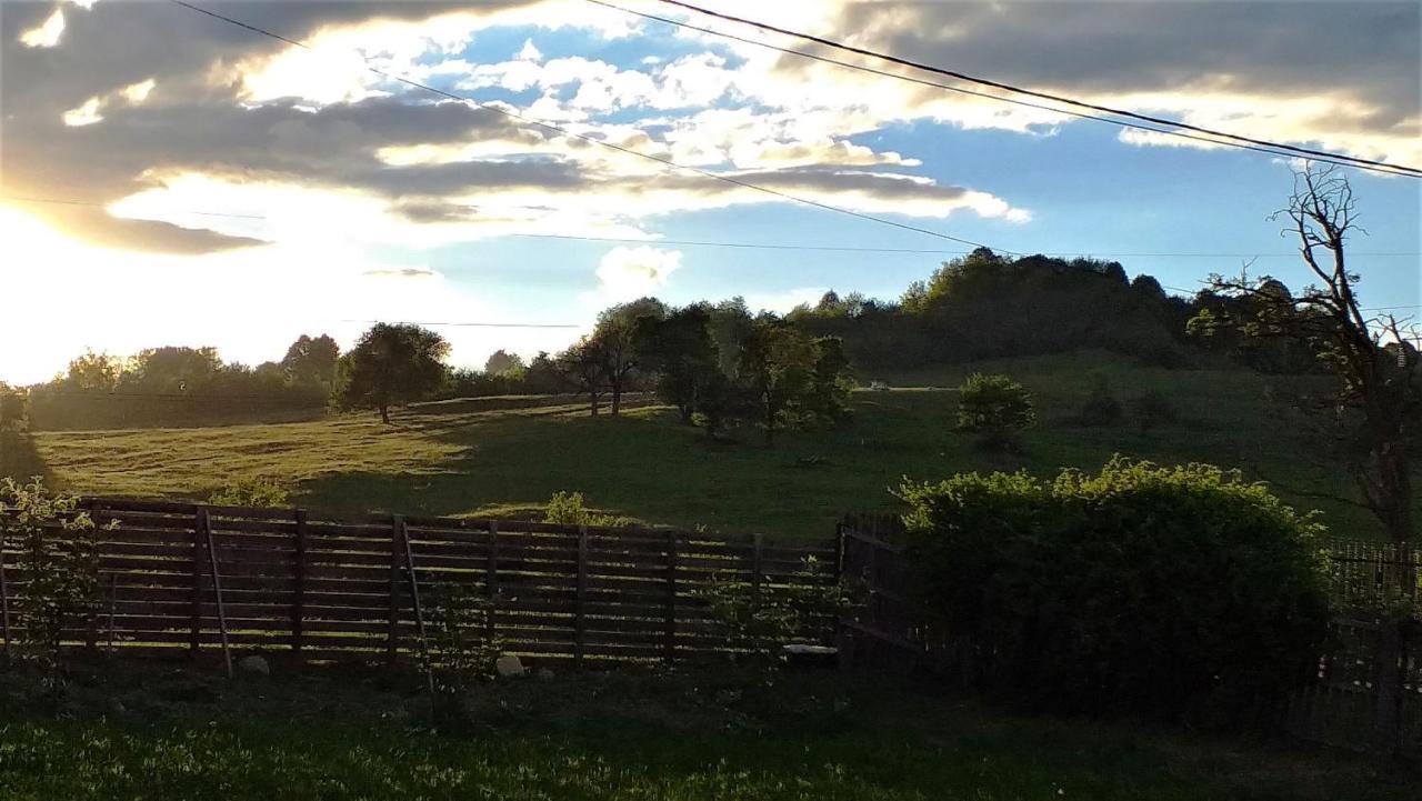 La Livada Villa Valea Danului Luaran gambar