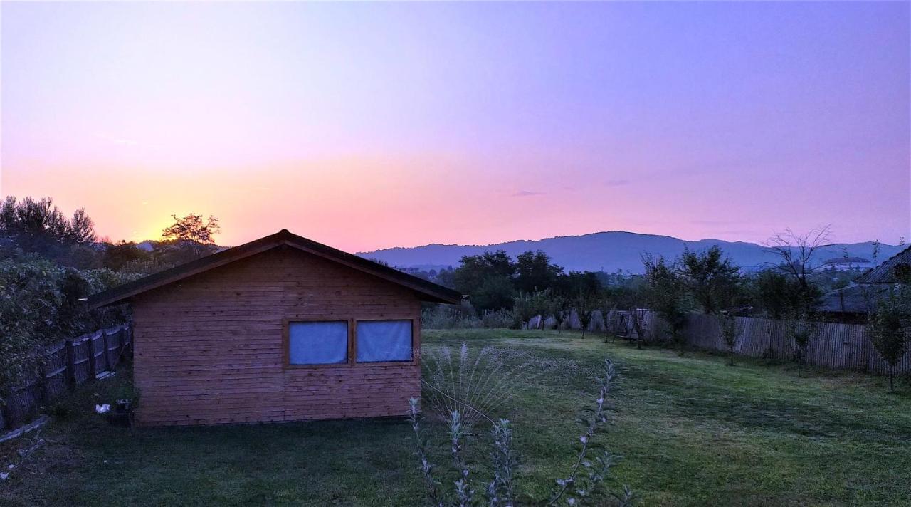 La Livada Villa Valea Danului Luaran gambar