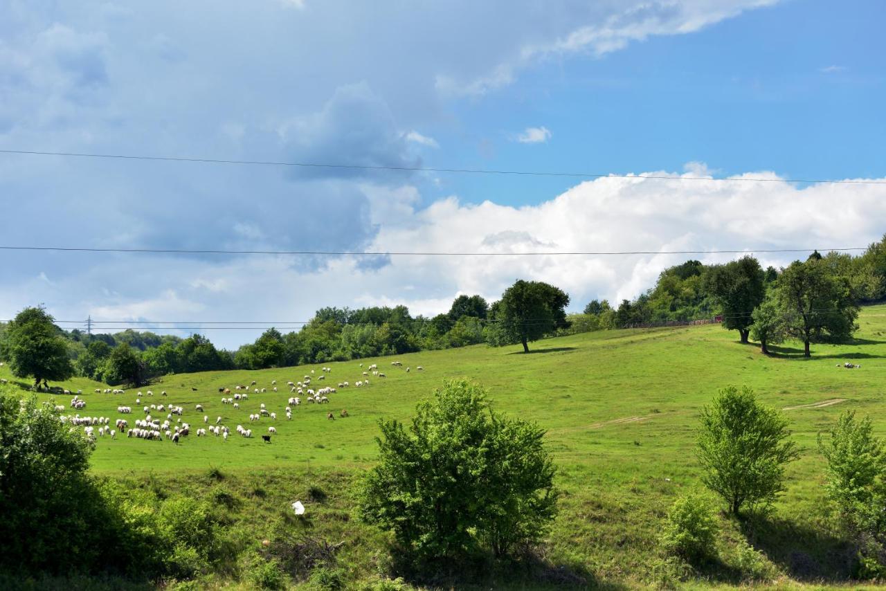 La Livada Villa Valea Danului Luaran gambar