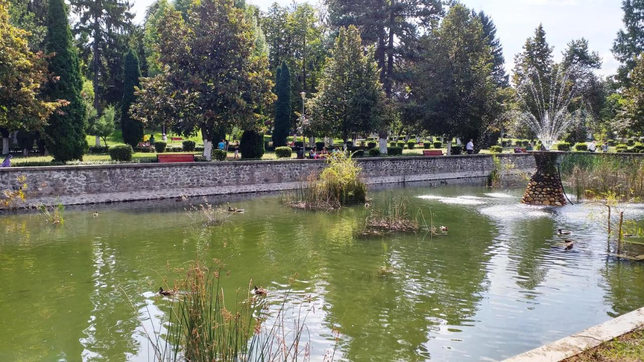 La Livada Villa Valea Danului Luaran gambar
